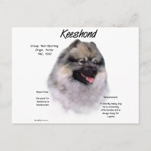 Nyckelhistorikdesign Vykort