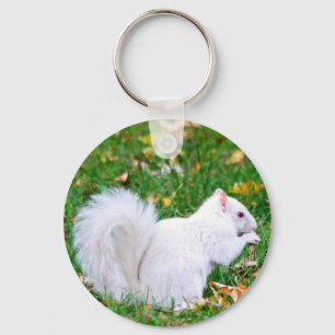 Nyckelkedja - Albino Squirrel Nyckelring