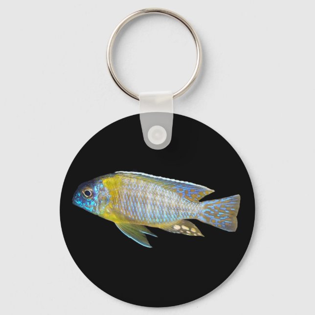 Nyckelkedja för Aulonocara steveni Nyckelring (Framsida)