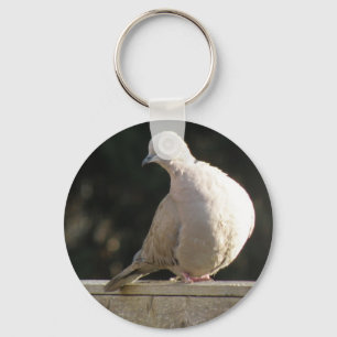Nyckelkedja för Collated Dove Nyckelring
