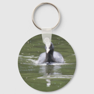 Nyckelkedja för Coot Swimming Nyckelring