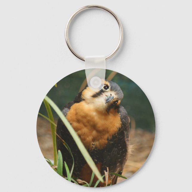 Nyckelkedja för Cute falcon Nyckelring (Framsida)