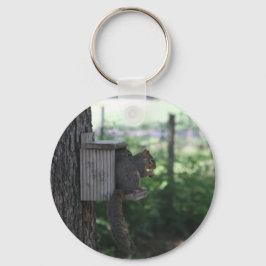 Nyckelkedja för ekorrar nyckelring