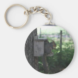 Nyckelkedja för ekorrar nyckelring