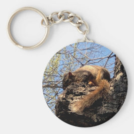 Nyckelkedja för ekorrar nyckelring