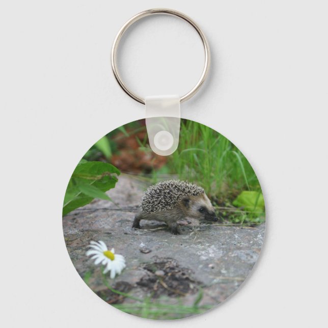 Nyckelkedja för Hedgehog Nyckelring (Framsida)