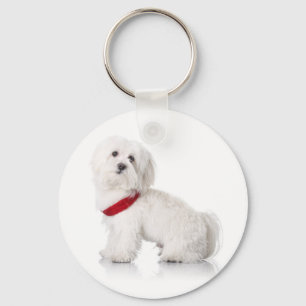 Nyckelkedja för Hund i vit Bichon Frise Puppy Nyckelring