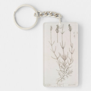Nyckelkedja för lavender botaniska teckning