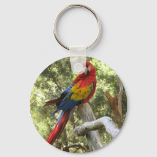 Nyckelkedja för Macaw Parrot Nyckelring