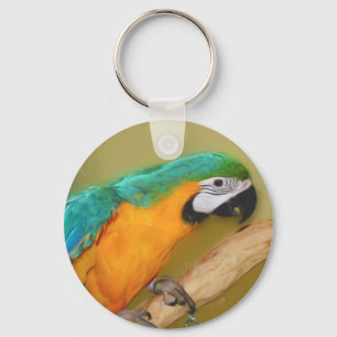 Nyckelkedja för målning av Blue Guld Macaw Parrot Nyckelring