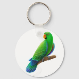 Nyckelkedja för manlig eclectus nyckelring
