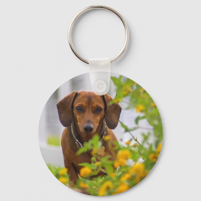 Nyckelkedja för Mini Red Dachshund Round Button Nyckelring (Framsida)