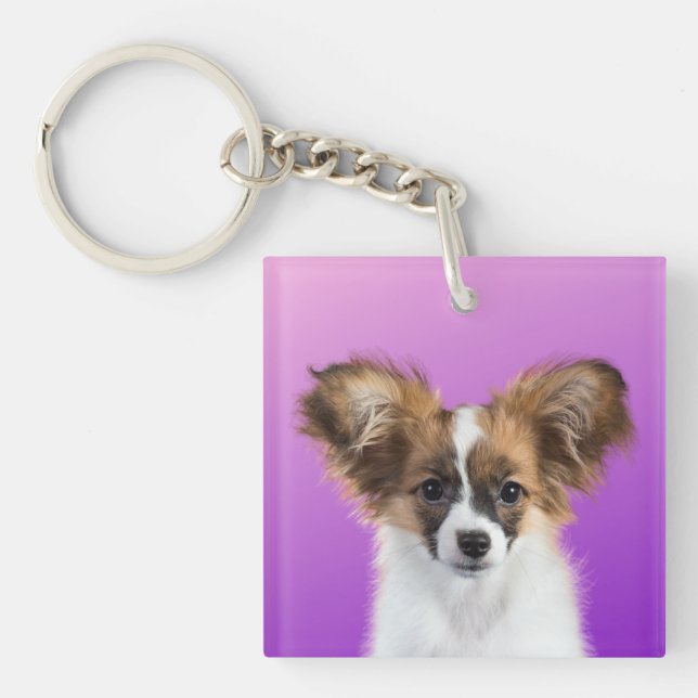 Nyckelkedja för papillon (Framsidan)