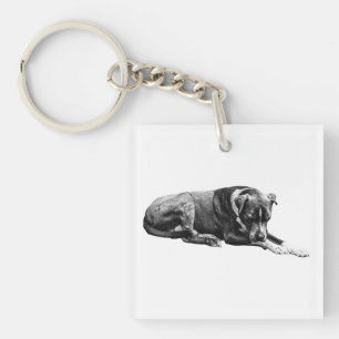 Nyckelkedja för Pocket Lounge Hund