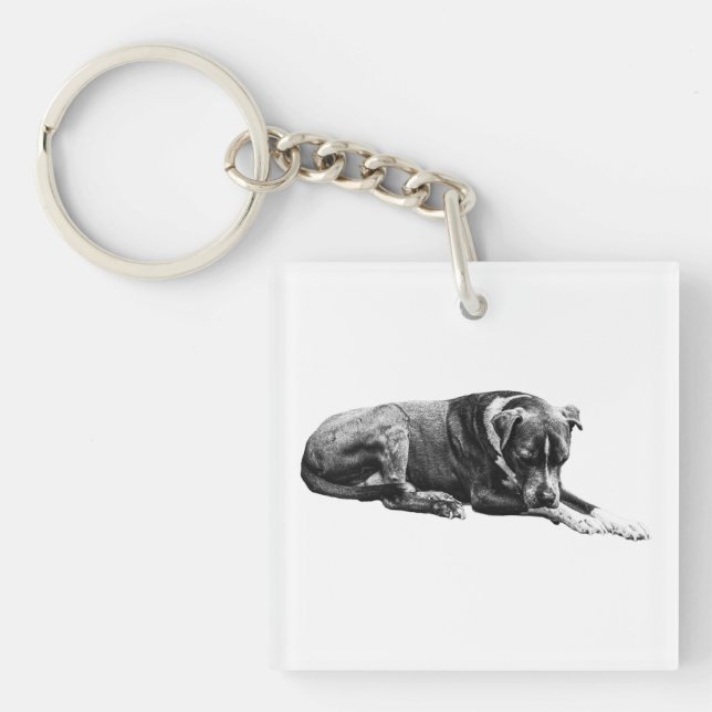 Nyckelkedja för Pocket Lounge Hund (Framsidan)