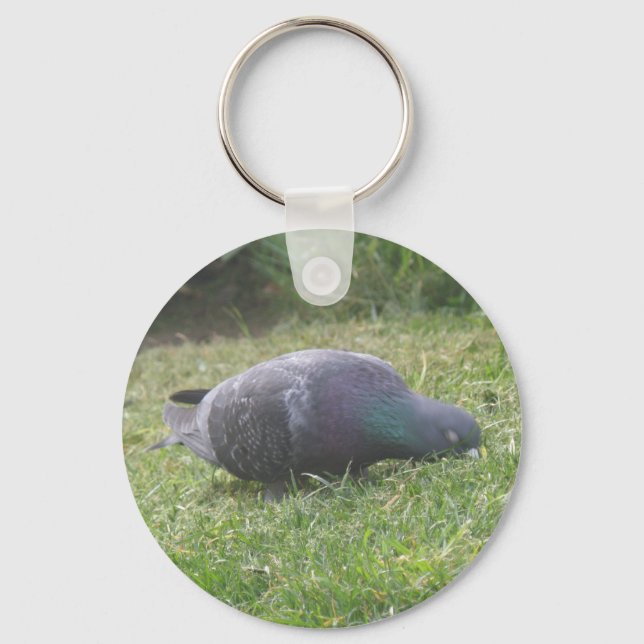 Nyckelkedja för sömpigeon nyckelring (Framsida)
