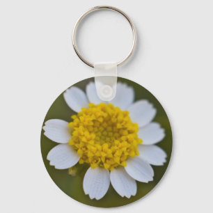 Nyckelkedja för Sten Daisy Nyckelring