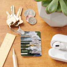 Nyckelkedja för vattenfärgslakusser Sticks