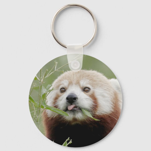 nyckelkedja Fotoröd panda, djur 0325. Nyckelring (Framsida)