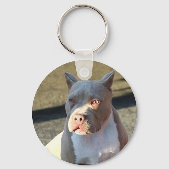 Nyckelkedja i den amerikanska StaffordTerrier-säck Nyckelring (Framsida)