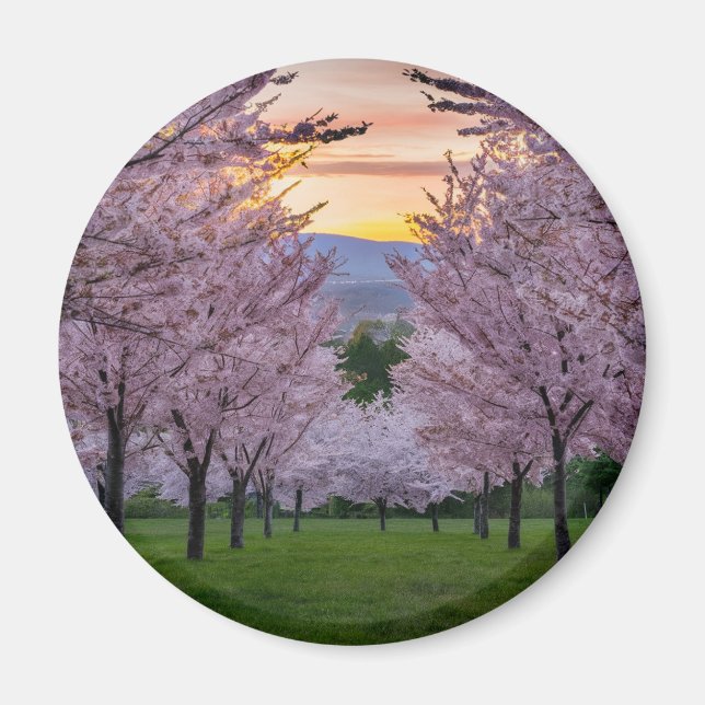 Nyckelkedja Magnet (Framsidan)