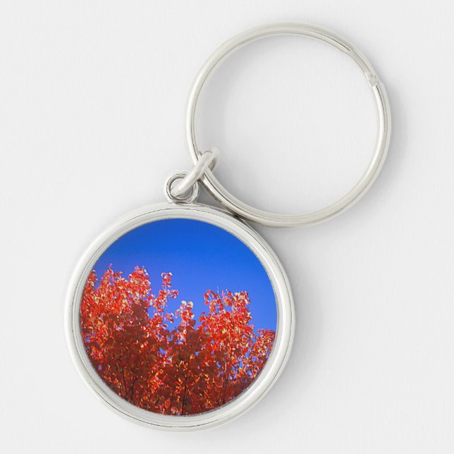 Nyckelkedja med fallfoto rund silverfärgad nyckelring (Framsidan)