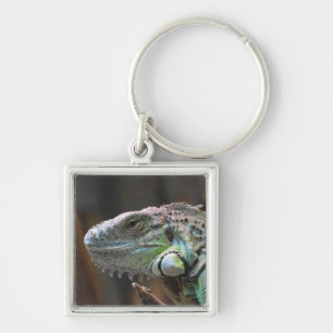 Nyckelkedja med färglös iguana-ödla fyrkantig silverfärgad nyckelring