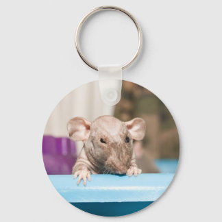 nyckelkedja nyckelring