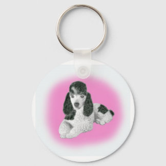 Nyckelkedja Nyckelring