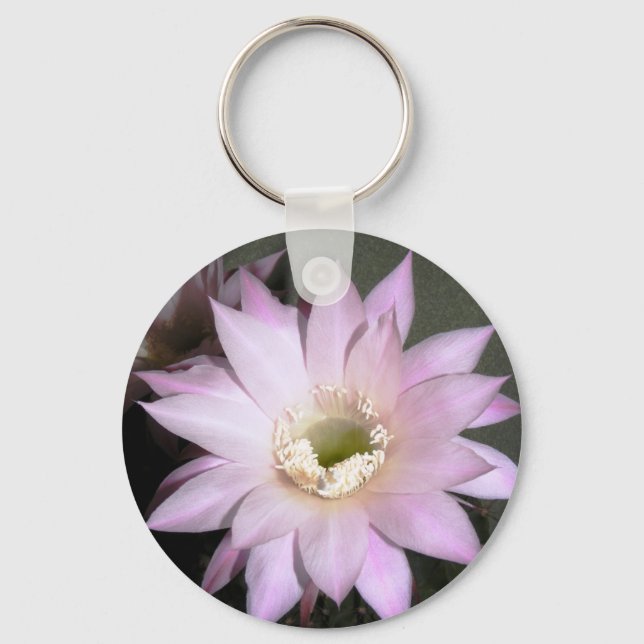 Nyckelkedja Nyckelring (Framsida)