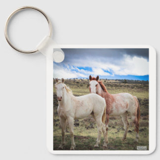 Nyckelkedja Nyckelring