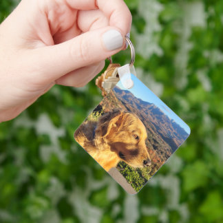 Nyckelkedja Nyckelring