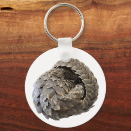 Nyckelkedja Nyckelring