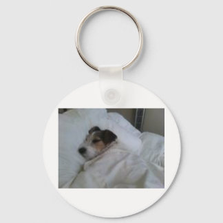 Nyckelkedja Nyckelring