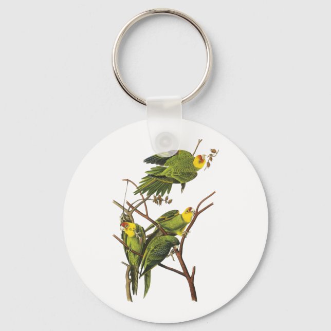 Nyckelkedja: Parakeet - av John Audubon Nyckelring (Framsida)