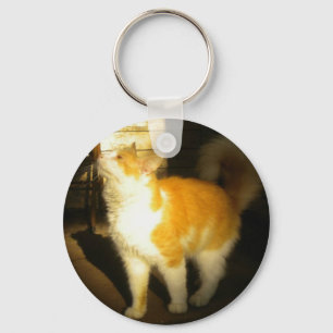 Nyckelkedjan Golden Cat Nyckelring