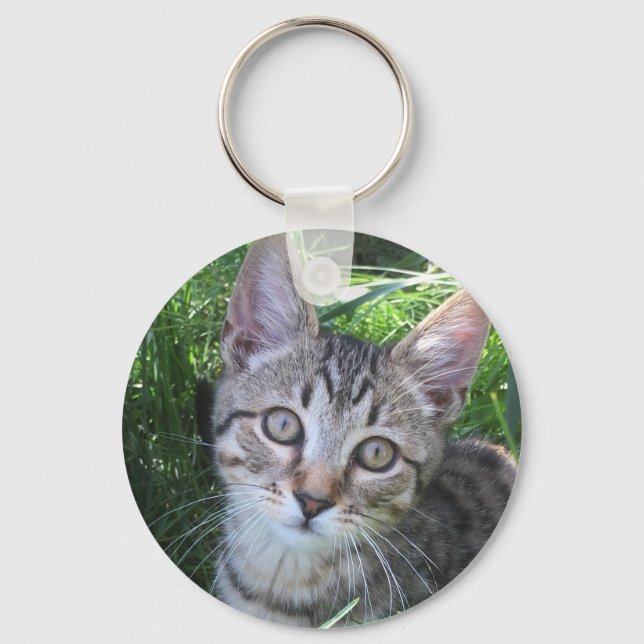 Nyckelkedjan grått Tabby katt Nyckelring (Framsida)