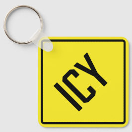 Nyckelkedjan isig Metall Nyckelring