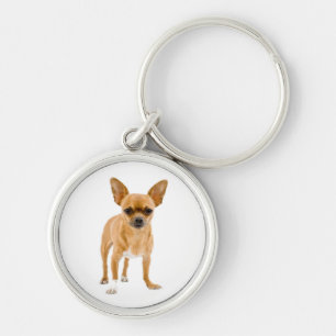Nyckelkedjan Kärlek Chihuahua Puppy Hund Rund Silverfärgad Nyckelring