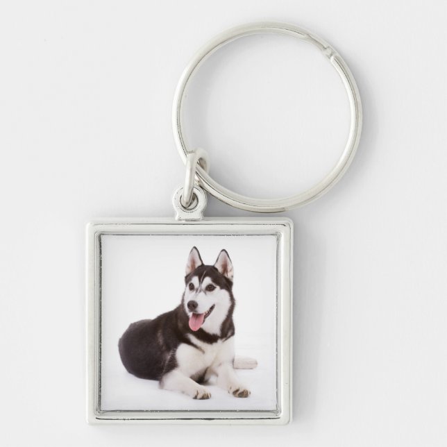 Nyckelkedjan Kärlek-valpar i Hund Fyrkantig Silverfärgad Nyckelring (Framsidan)