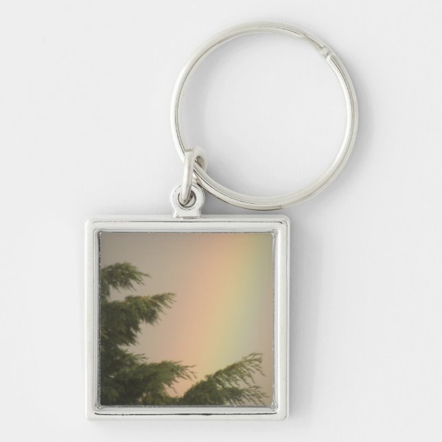 Nyckelkedjan Rainbow och Träd Fyrkantig Silverfärgad Nyckelring (Framsidan)