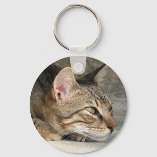 Nyckelkedjan tabby katt nyckelring