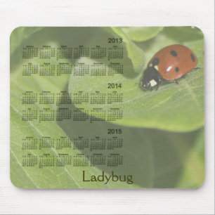 Nyckelpiga 3 år 2013-2015 kalender Mousepad Musmatta
