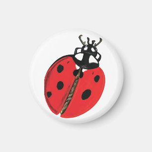 Nyckelpiga Illustration Magnet