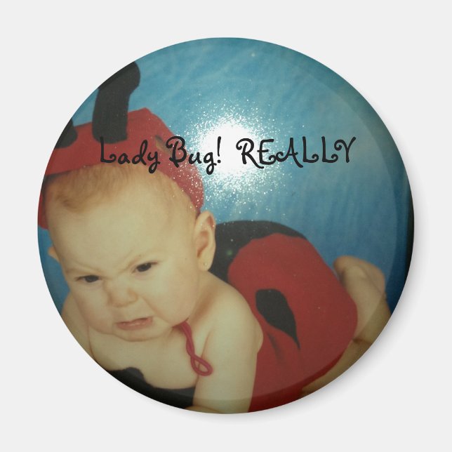 Nyckelpiga Magnet (Framsidan)