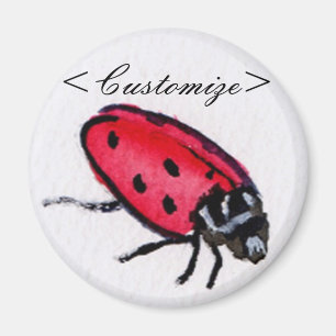 Nyckelpiga Magnet