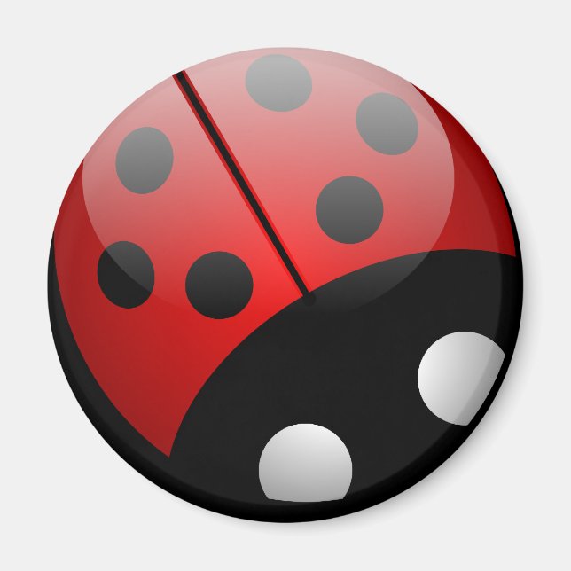 Nyckelpiga Magnet (Framsidan)
