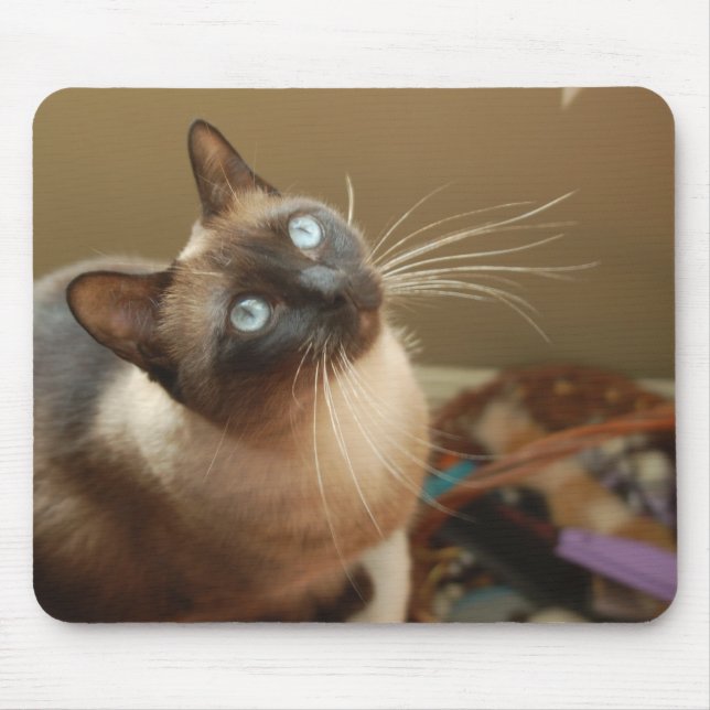 Nyckelpiga Mousepad Musmatta (Framsidan)