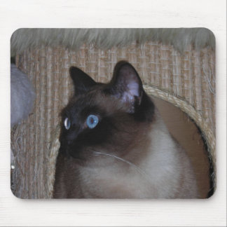 Nyckelpiga Mousepad Musmatta