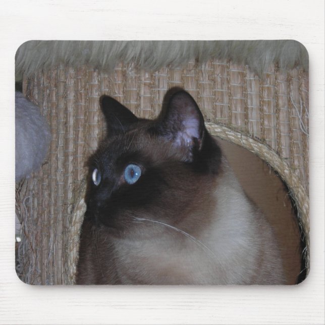 Nyckelpiga Mousepad Musmatta (Framsidan)